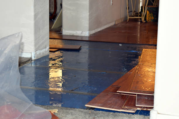 Professional Burst Pipe Water Damage technician working in San Joaquin, CA